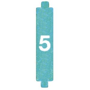 DISPLAY DE 10 CONFIGURADORES No. 5 PARA SISTEMAS DIGITALES